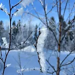 Aleksanteri, A Spacious Detached House In Lapland 別荘