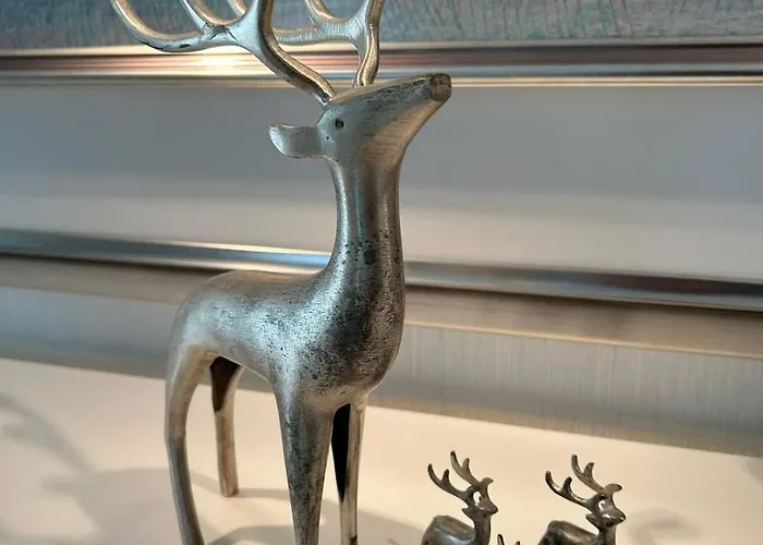 Aleksanteri, A Spacious Detached House In Lapland 度假居 凯米