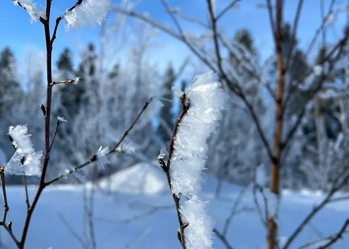 Aleksanteri, A Spacious Detached House In Lapland 度假居
