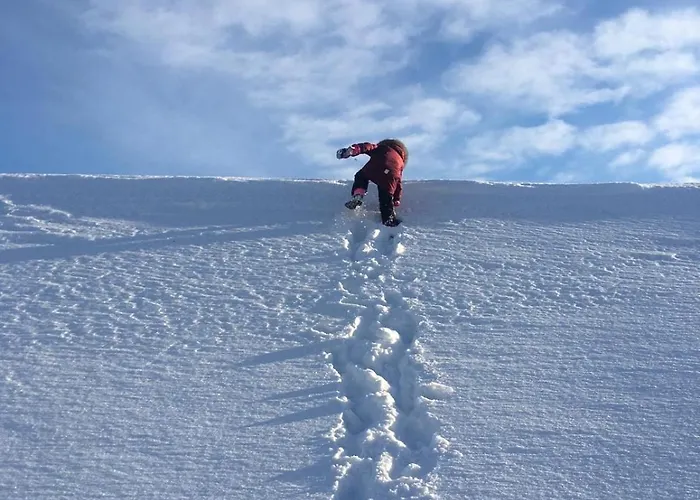 Aleksanteri, A Spacious Detached House In Lapland Vakantiehuis